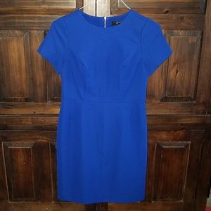 The Limited royal cobalt blue fitted dress